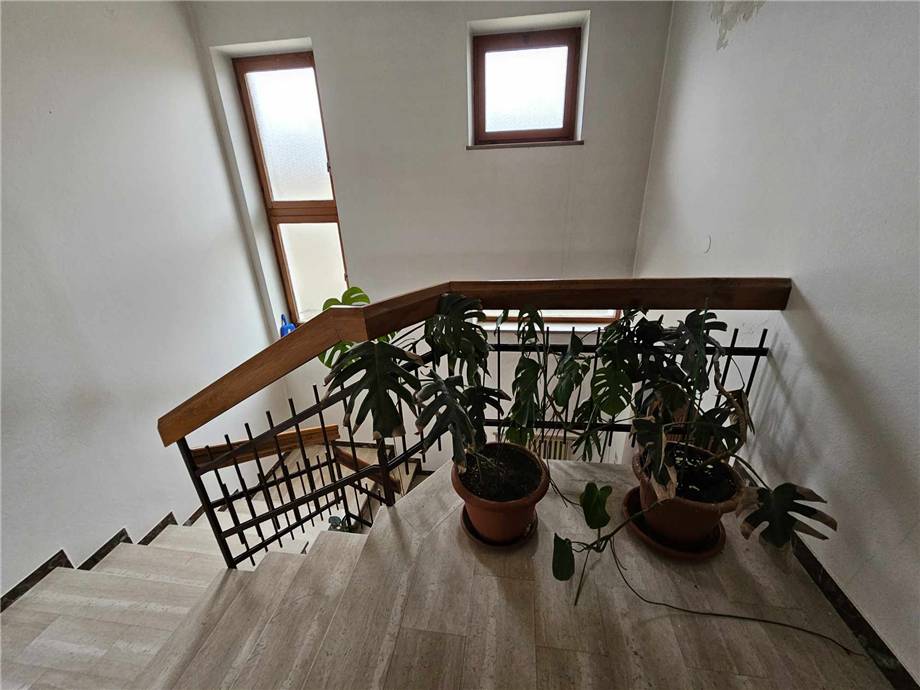 Vendita Villa/Casa singola Belluno  #357 n.6