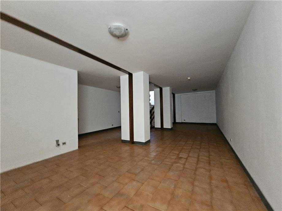 Vendita Commerciale Belluno Via Feltre #447 n.5