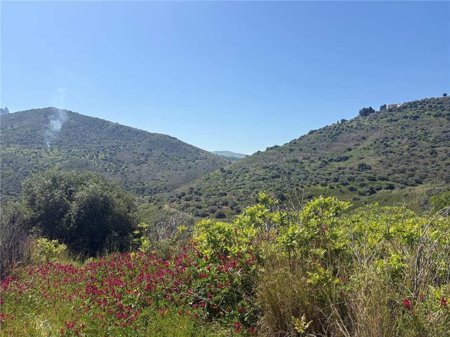 Vendita Terreno Casteldaccia Vallecorvo / Sp61 #CA510 n.2