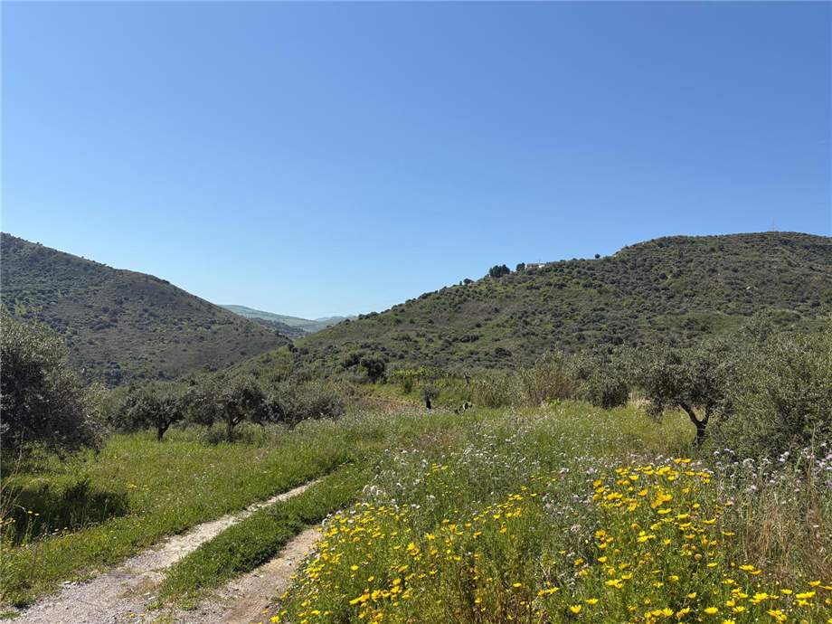 Vendita Terreno Casteldaccia Vallecorvo / Sp61 #CA510 n.3