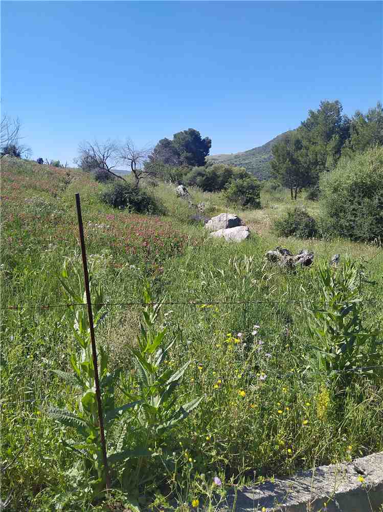Venta Terreno edificable Ventimiglia di Sicilia C.da Traversa #VENT3 n.2