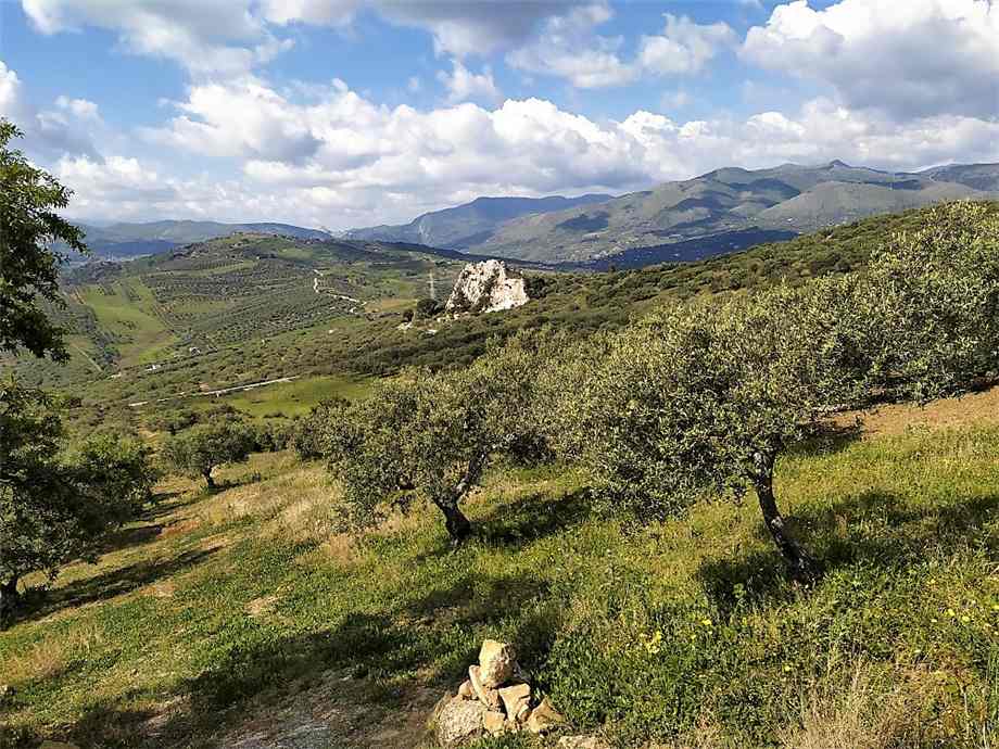 Venta Terreno Ventimiglia di Sicilia C.da Traversa #CA422 n.3