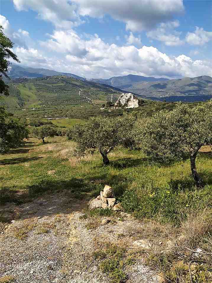 For sale Bare land Ventimiglia di Sicilia C.da Traversa #CA422 n.4