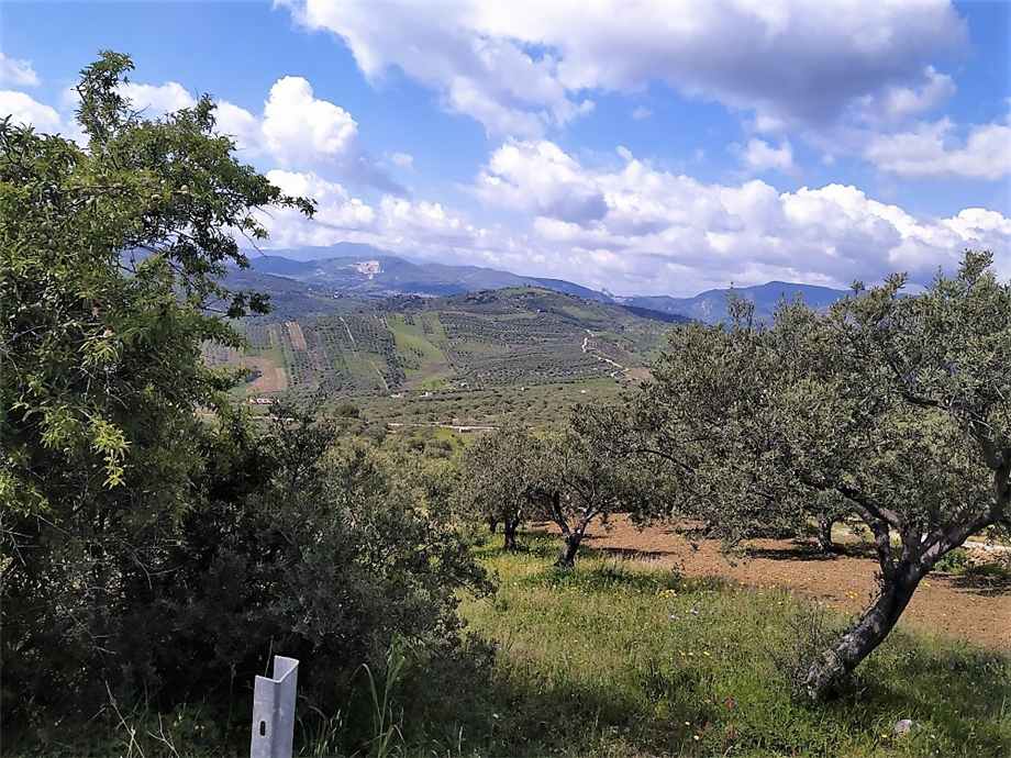 Venta Terreno Ventimiglia di Sicilia C.da Traversa #CA422 n.5