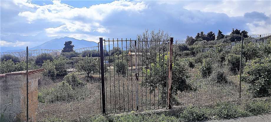 Venta Terreno agrícola Santa Flavia Santa Flavia - C.da Accia #SF11 n.2