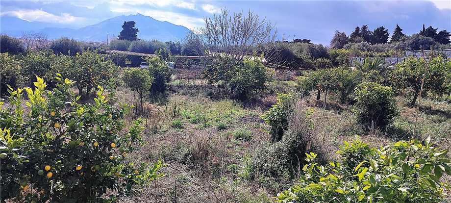 Venta Terreno agrícola Santa Flavia Santa Flavia - C.da Accia #SF11 n.5