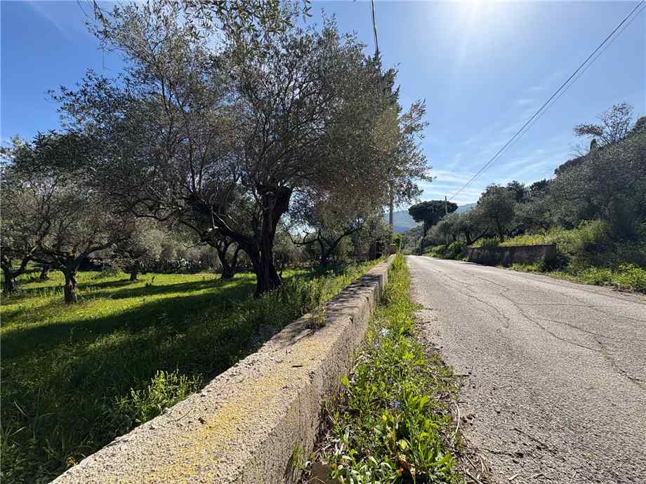 Bare land Casteldaccia #CA503