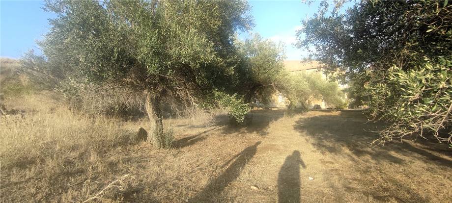 For sale Bare land Casteldaccia Vallecorvo / Sp61 #CA503 n.11