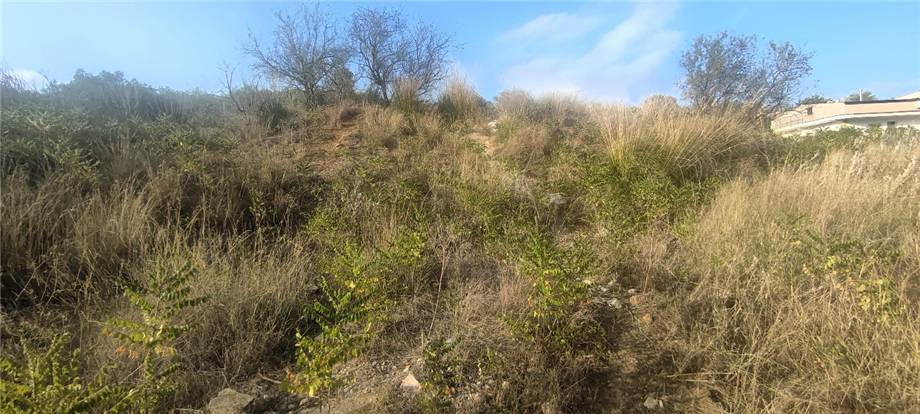 For sale Bare land Casteldaccia Vallecorvo / Sp61 #CA503 n.13