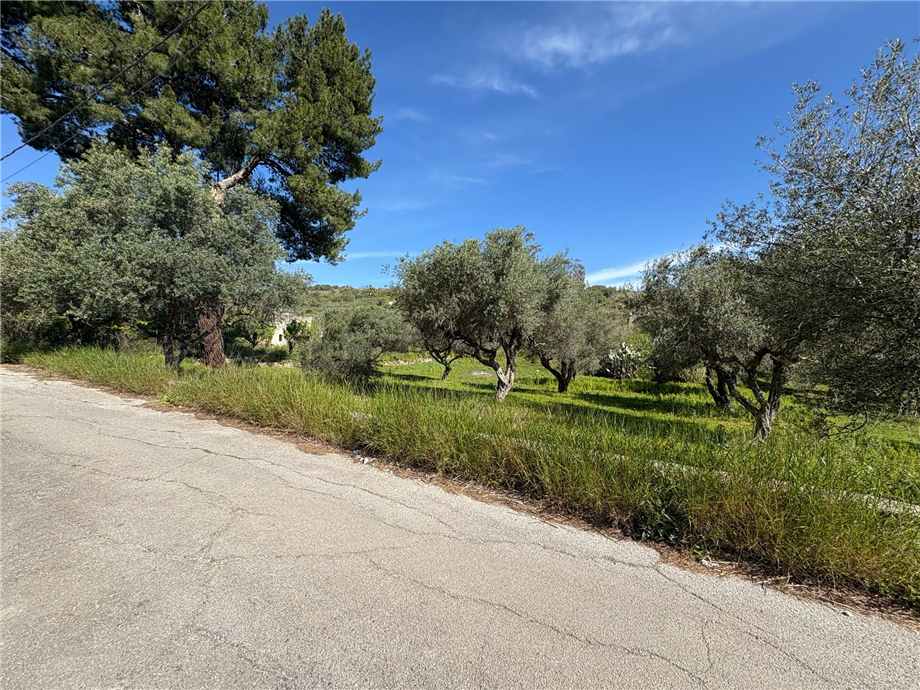 For sale Bare land Casteldaccia Vallecorvo / Sp61 #CA503 n.4