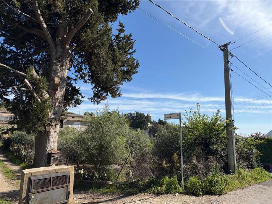 For sale Bare land Casteldaccia Vallecorvo / Sp61 #CA503 n.7