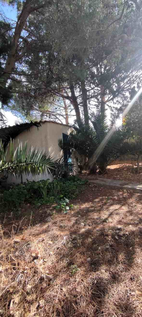 Vendita Villa indipendente Casteldaccia Campo Sportivo / Fiorilli #CA509 n.15