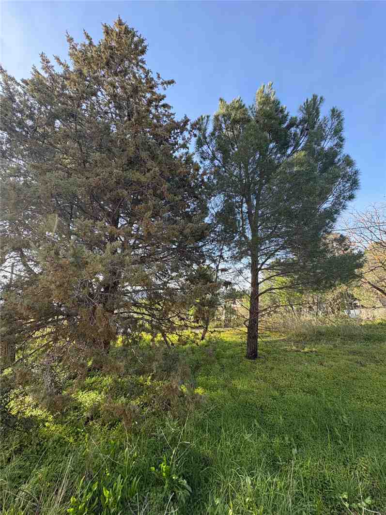 For sale Single-family Villa Bolognetta  #BO2 n.4