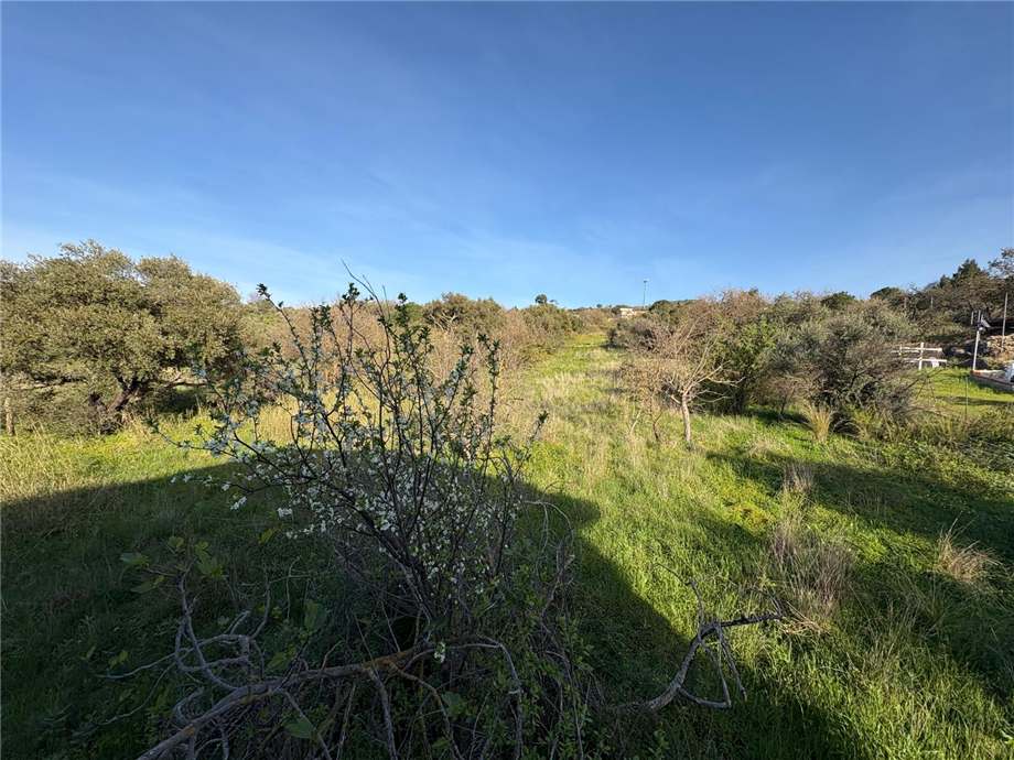For sale Single-family Villa Bolognetta  #BO2 n.5