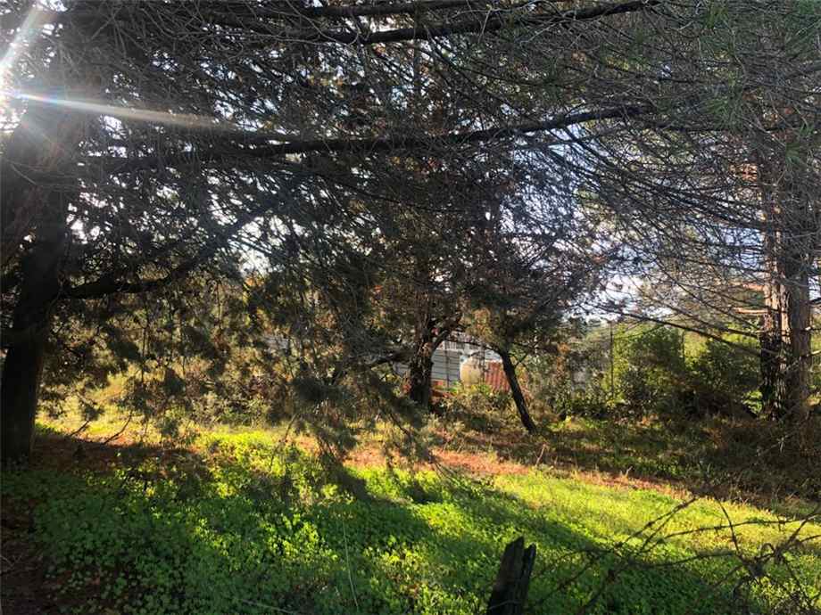 For sale Single-family Villa Bolognetta  #BO2 n.9