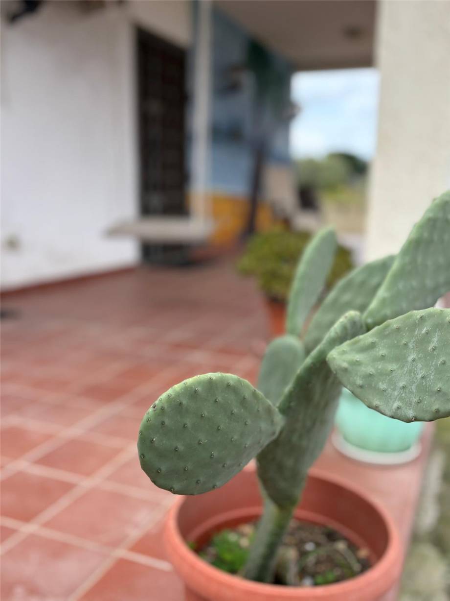 For sale Two-family house Casteldaccia casteldaccia contrade #CA546 n.14