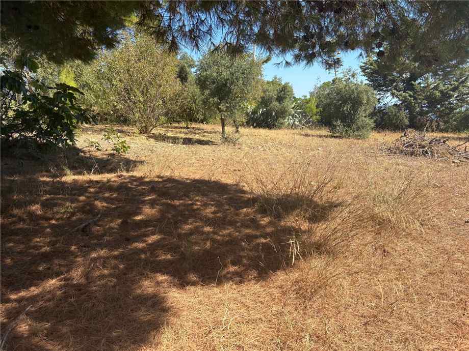 Vendita Bungalow Casteldaccia Vallecorvo / Sp61 #CA579 n.2