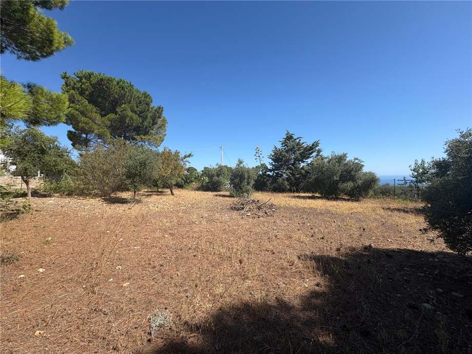 Vendita Bungalow Casteldaccia Vallecorvo / Sp61 #CA579 n.3