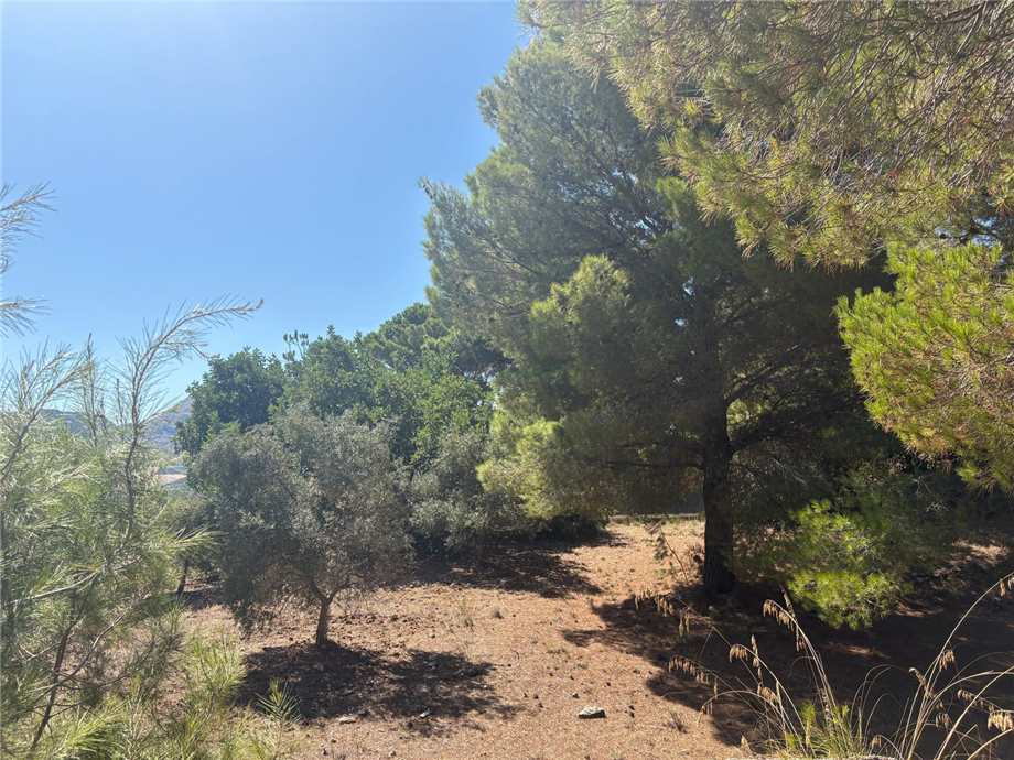 Vendita Bungalow Casteldaccia Vallecorvo / Sp61 #CA579 n.4