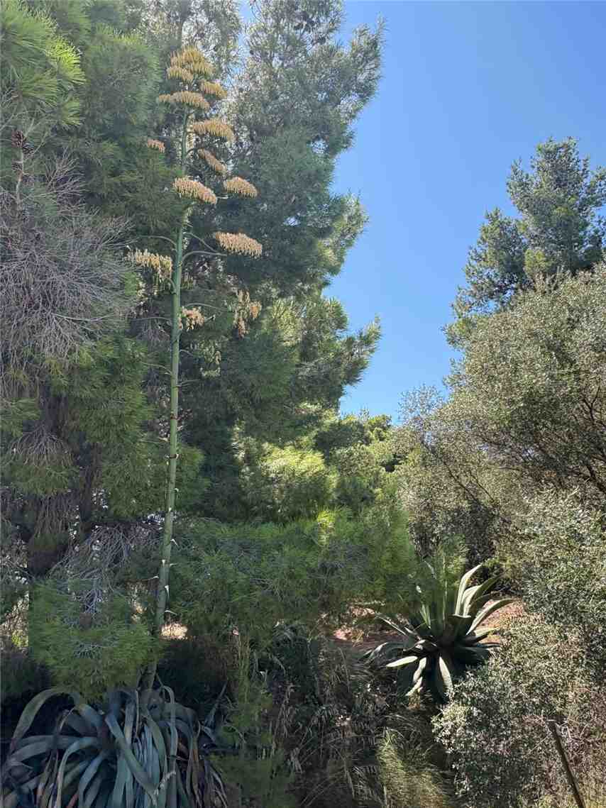 Vendita Bungalow Casteldaccia Vallecorvo / Sp61 #CA579 n.8