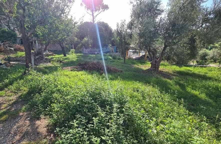 Vendita Villa indipendente Cerreto Guidi  #CS36 n.2