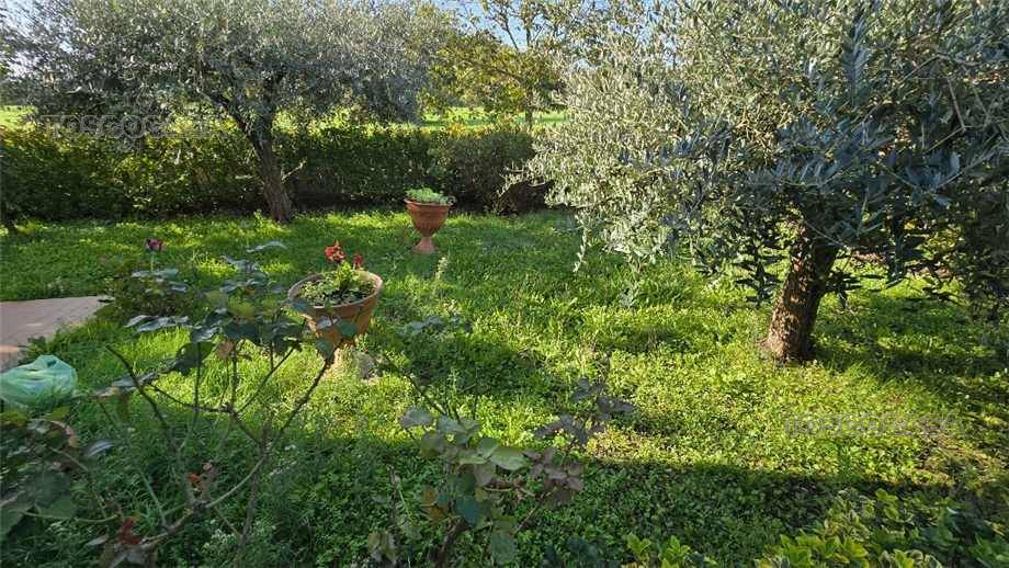 For sale Terraced house Castelfranco di Sotto  #1030 n.2