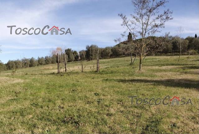 Venta Terratetto/Terracielo Fucecchio  #1312 n.3