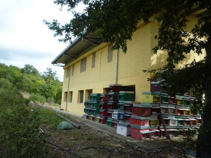 For sale Industrial/Warehouse Anghiari  #247 n.5