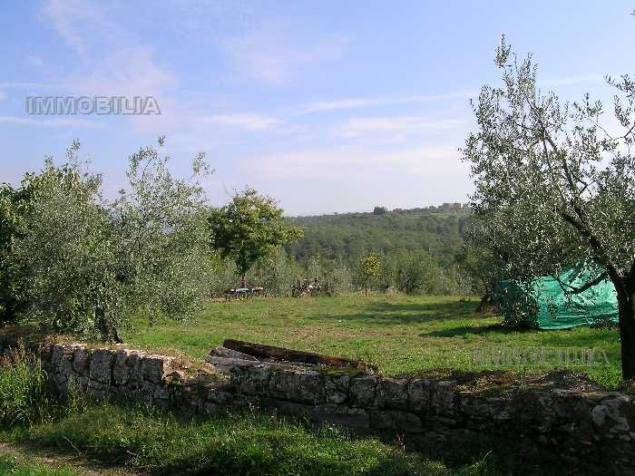 Azienda Agricola Laterina Pergine Valdarno 275
