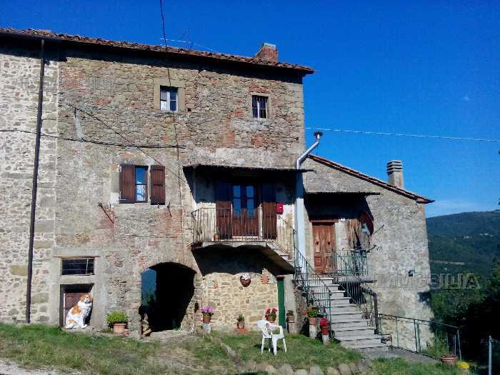 Flat Arezzo 318