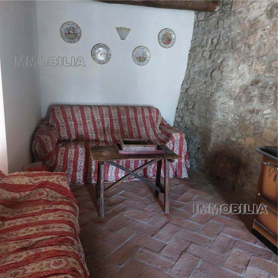 Vendita Rustico/Casale Caprese Michelangelo  #332 n.16