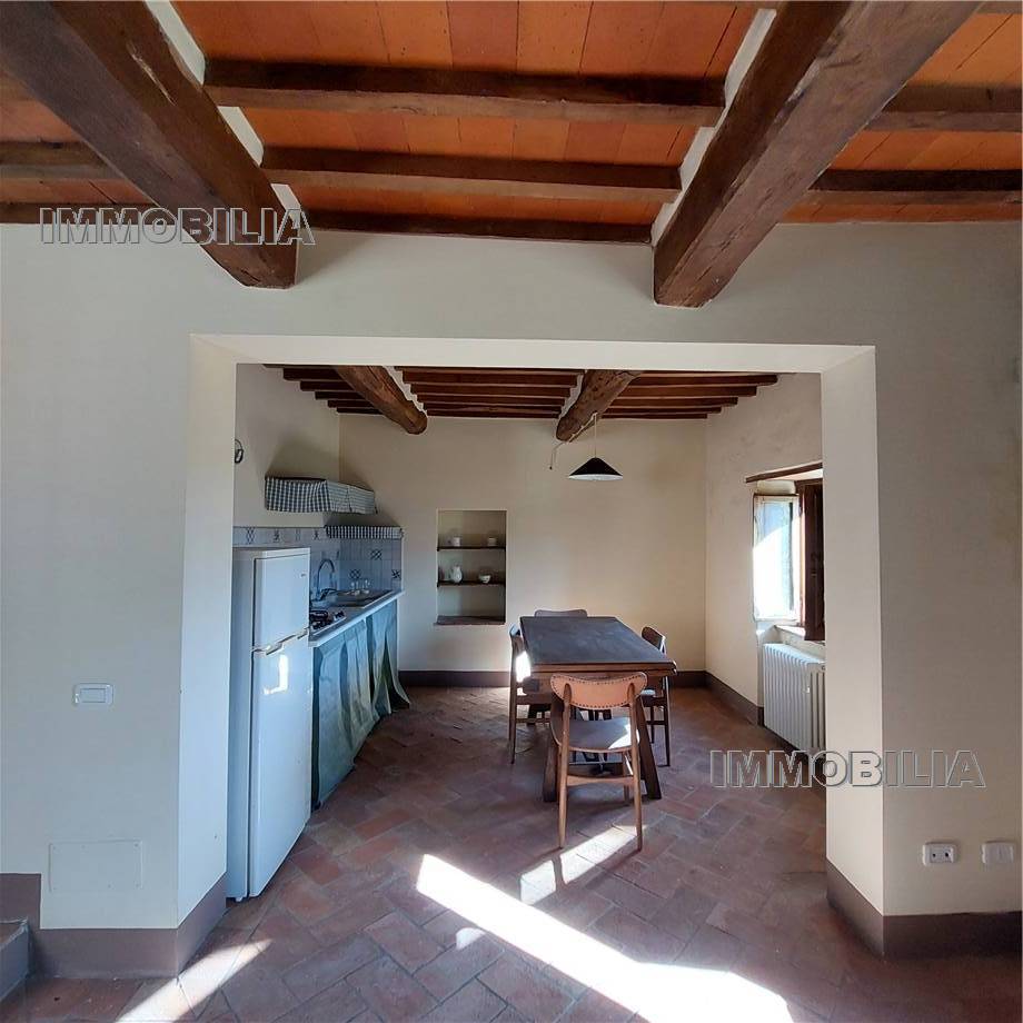 Vendita Rustico/Casale Caprese Michelangelo  #332 n.25