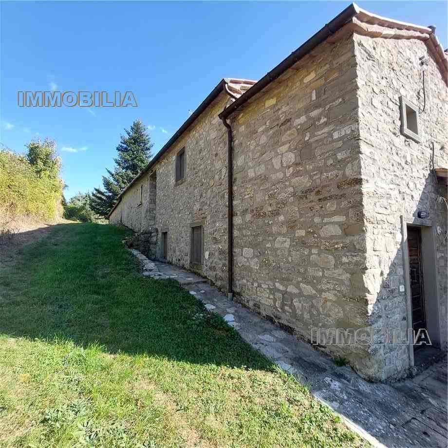 Vendita Rustico/Casale Caprese Michelangelo  #332 n.4