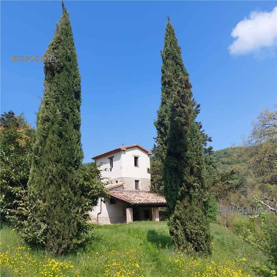 Rural/farmhouse Montone 519