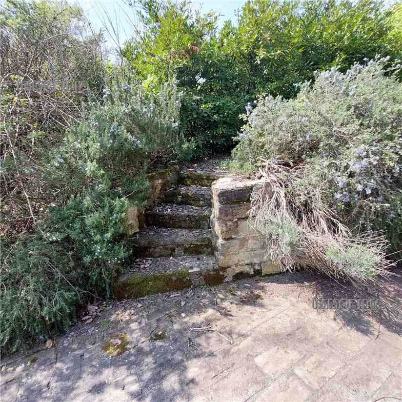 For sale Rural/farmhouse Montone  #519 n.4