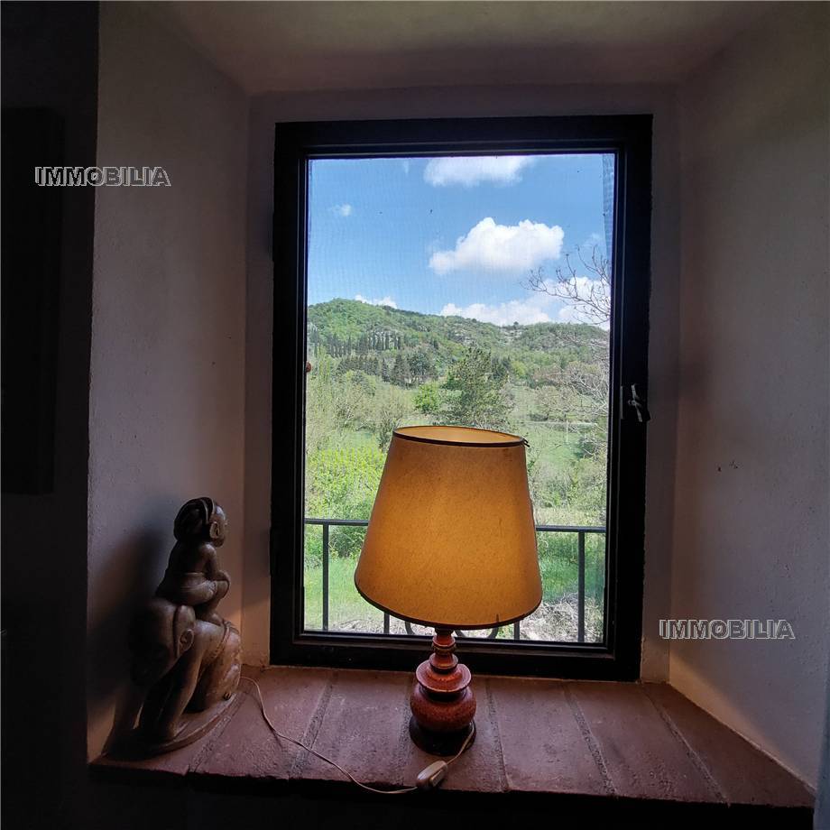 For sale Rural/farmhouse Montone  #519 n.9