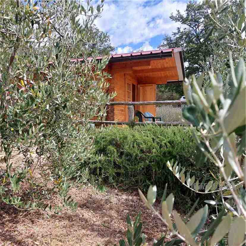 Vendita Rustico/Casale Pieve Santo Stefano  #547 n.13