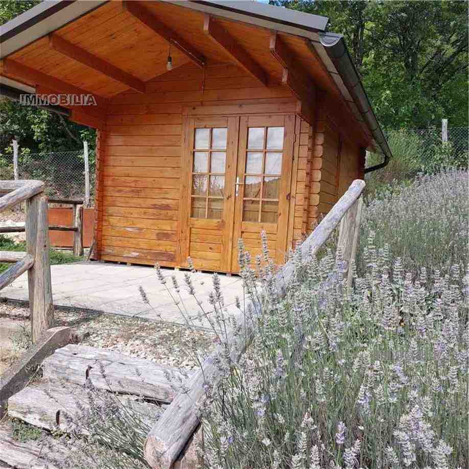 Vendita Rustico/Casale Pieve Santo Stefano  #547 n.16