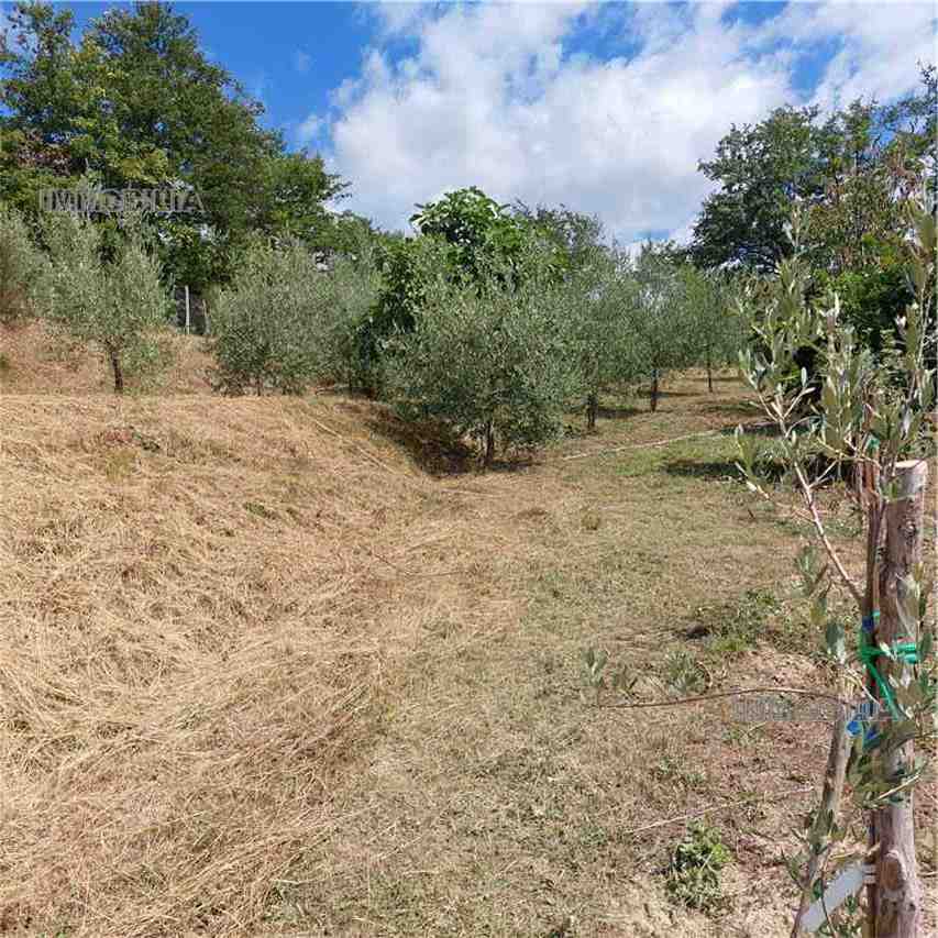 Vendita Rustico/Casale Pieve Santo Stefano  #547 n.21