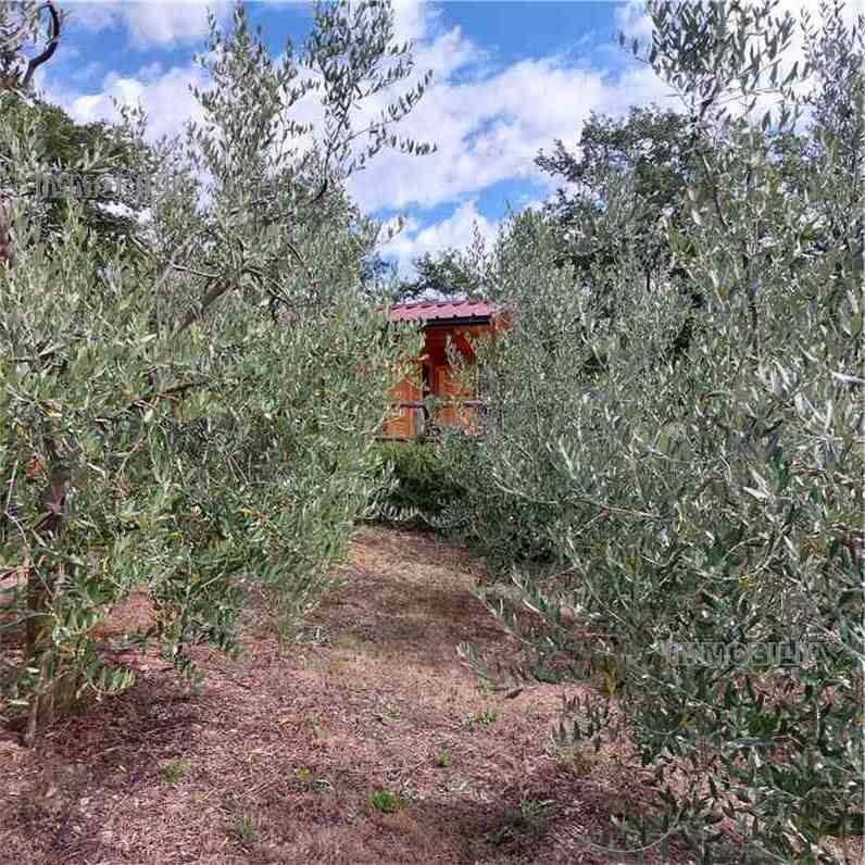 Vendita Rustico/Casale Pieve Santo Stefano  #547 n.22