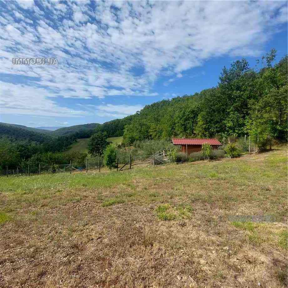 Vendita Rustico/Casale Pieve Santo Stefano  #547 n.3