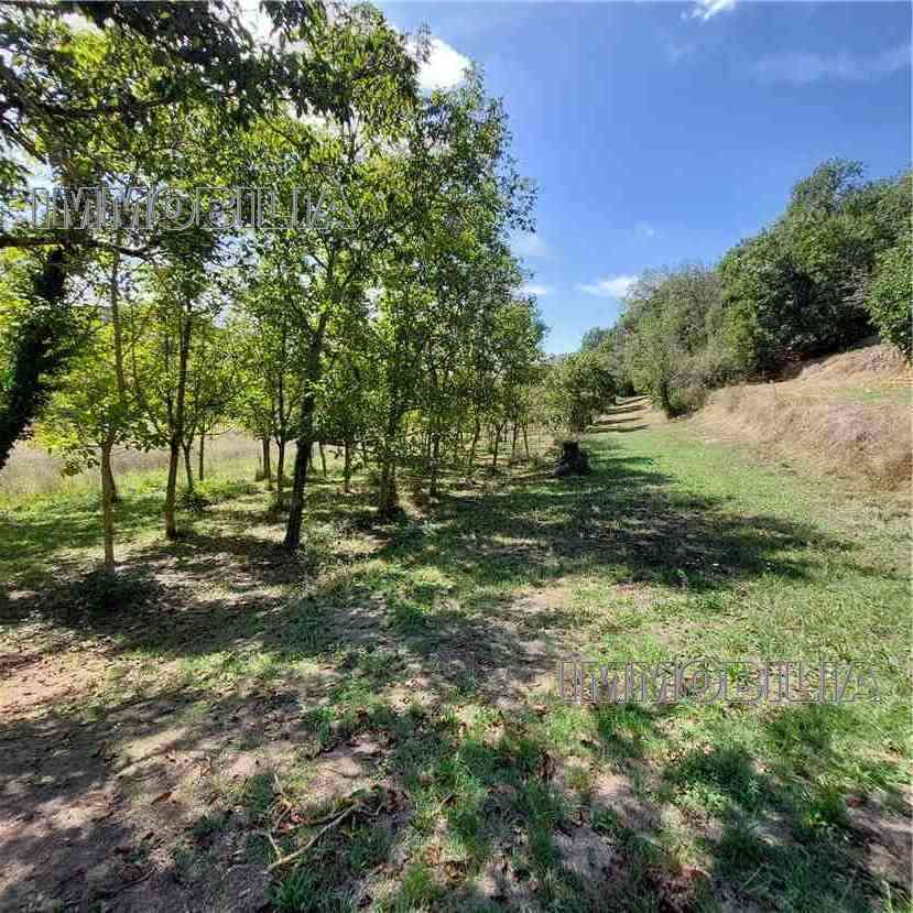 Vendita Rustico/Casale Monterchi  #552 n.11