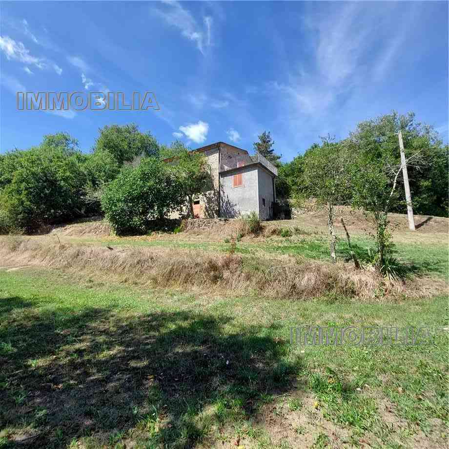 Vendita Rustico/Casale Monterchi  #552 n.12