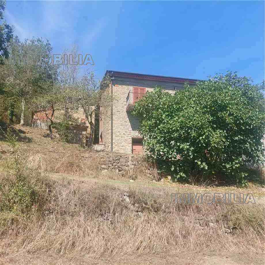 Vendita Rustico/Casale Monterchi  #552 n.13