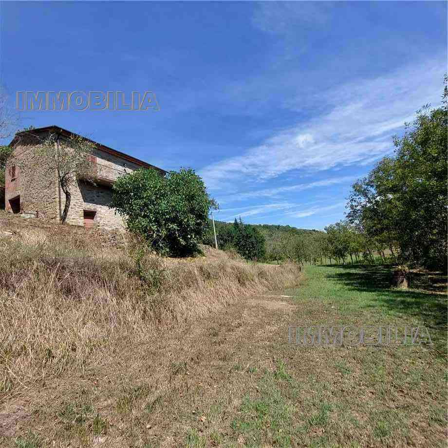 Vendita Rustico/Casale Monterchi  #552 n.14