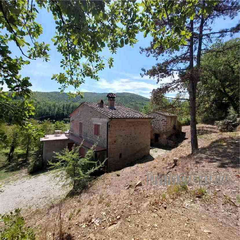 Vendita Rustico/Casale Monterchi  #552 n.6