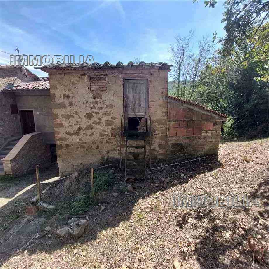 Vendita Rustico/Casale Monterchi  #552 n.8