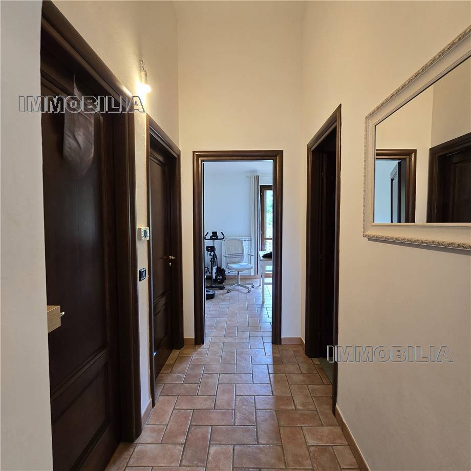 For sale Flat Citerna FIGHILLE #577 n.10