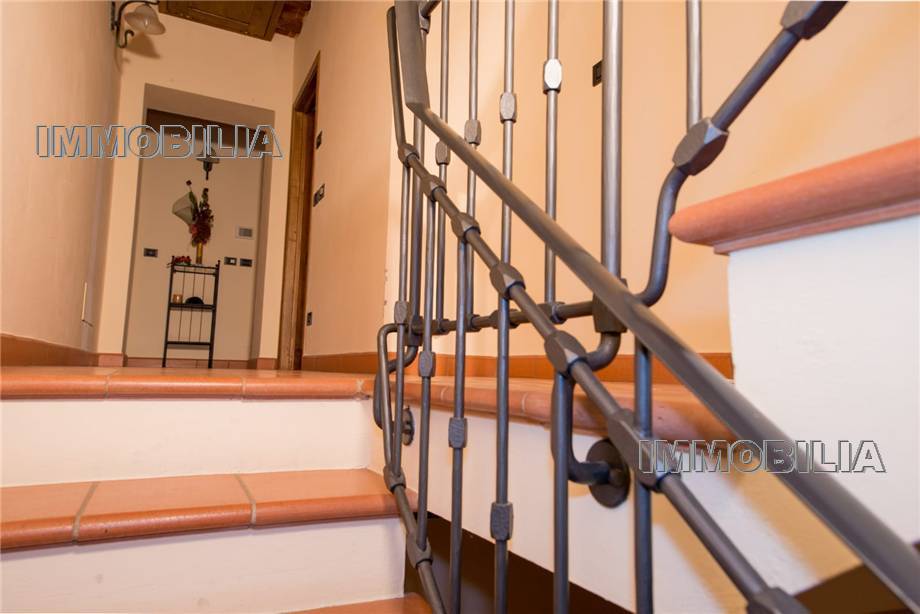 Venta Villa/Casa independiente Arezzo  #579 n.11