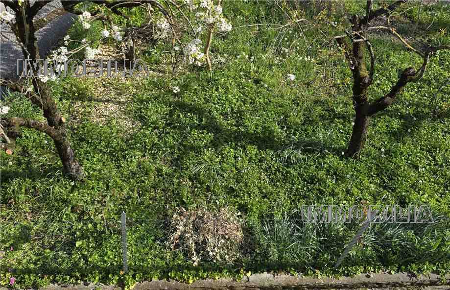 Vendita Porzione Monterchi LE VILLE #591 n.20